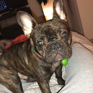 Meet your Posher, Jenna